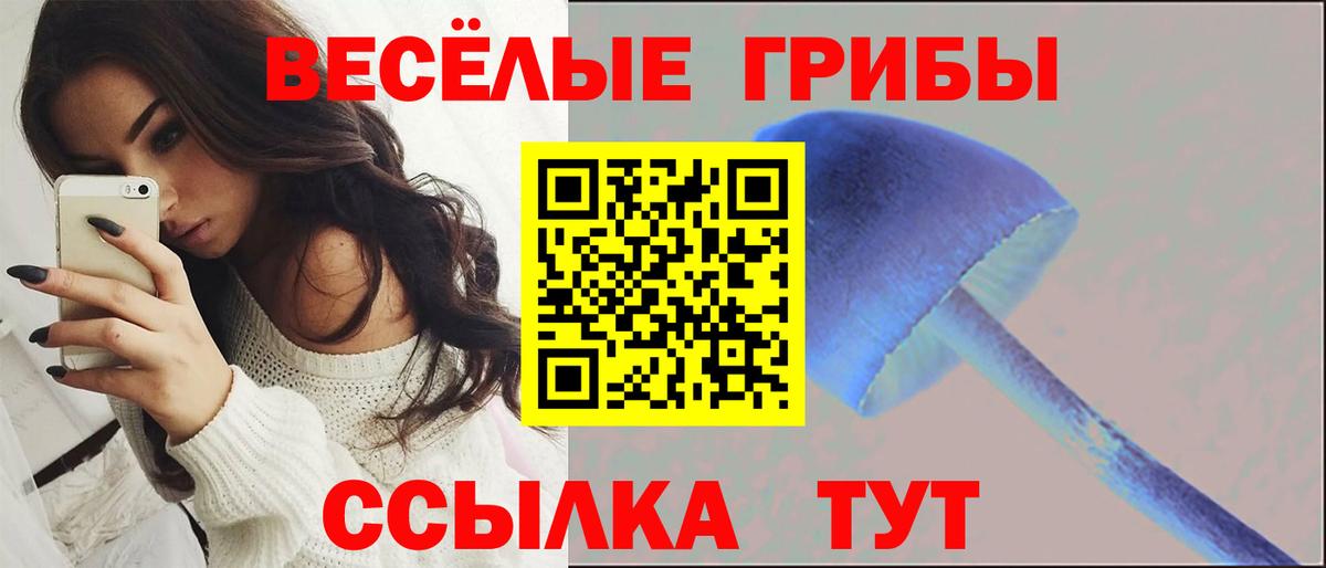 Псилоцибиновые грибы Psilocybe  Галлюциногенные грибы мухоморы  Вход с VPN  как найти наркотики  Коряжма 